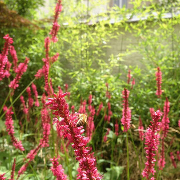 Jardin de ville 100m2 - Bruxelles -Jardin de chambres