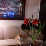 Marlene Mosley's photo