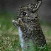 Bunny Beckers billede