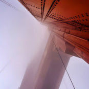 Meghdad Rahdar's photo