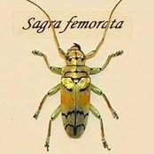 Foto di Thomas Sauzek