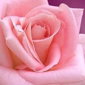 Jamia Said's photo