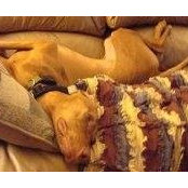 Bill Larson's photo
