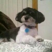 June Kennedy's photo