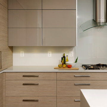Washington D.C. - Contemporary - Kitchen Design