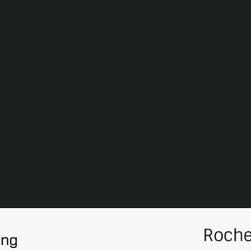 Rochele Colours - Products