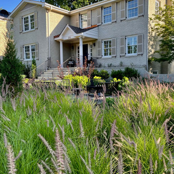 Front meadow, year 2.