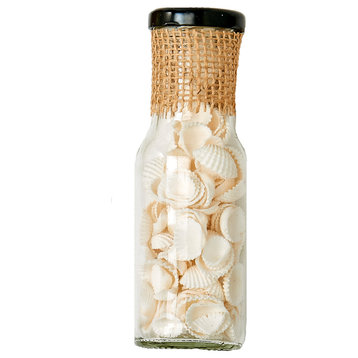 Shells In 6" Glass Bottle