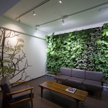 Internal garden