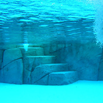 Grand Cayman Residential Pool