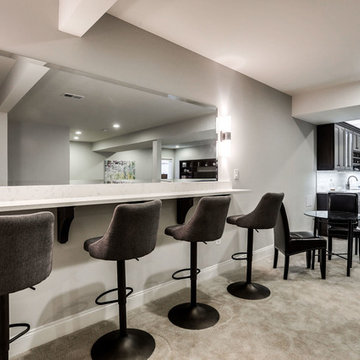 Basement Bar Project - Loudon County