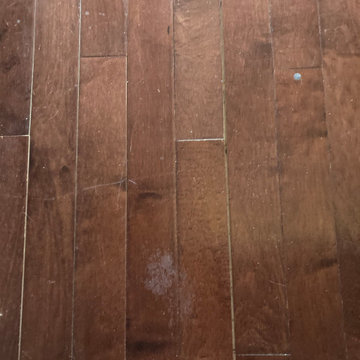 Bruce Maple Flooring