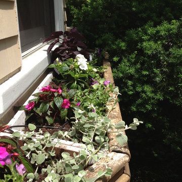Seasonal Container Plantings & Changeovers