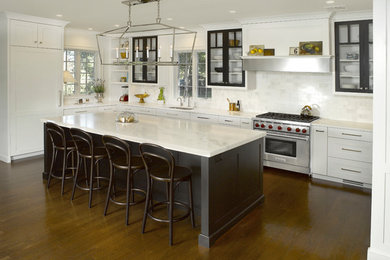 Kitchen - transitional kitchen idea in New York