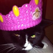 Angela Durall's photo