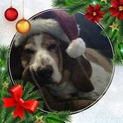 Wendy Robinson's photo