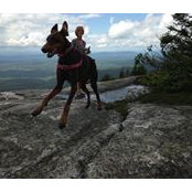 Deb Holly's photo
