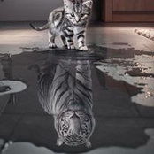 Izabella Hauf's photo