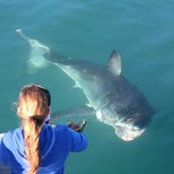 Stacey Vernon's photo