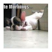 Peggi McNairn's photo