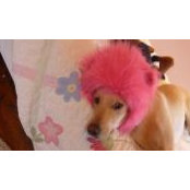 Jill Lamphier's photo