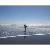 David Bender's photo