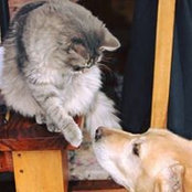Foto von Martha Singer