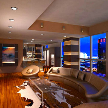 Penthouse remodel