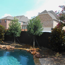 Landscaping