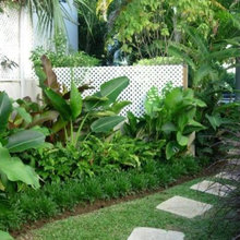 shade garden