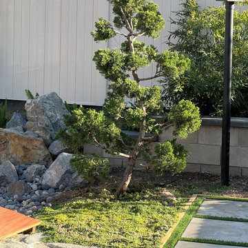 Japanese Garden - Back Yard