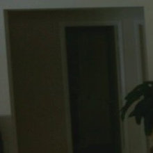 Doors and moulding