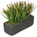 House of Silk Flowers, Inc. - Artificial Wild Cactus Garden in Black Sandy-Texture Rectangle - You will never have to worry about caring for your succulents again with this artificial cactus garden handcrafted by House of Silk Flowers. This arrangement features a grouping of artificial cactus "potted" in a sandy-texture ceramic vase measuring 11" wide x 4" deep x 4.25" tall. The cactus have been arranged for 360*-viewing. The overall dimensions are measured leaf tip to leaf tip, from the bottom of the planter to the tallest leaf tip: 13" wide X 7.5" deep X 9.5" tall. Measurements are approximate, and will be determined by your final shaping of the plant upon unpacking it. No arranging is necessary, only minor shaping, with the way in which we package and ship our products. This product is only recommended for indoor use.