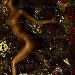 GOLD N' ROSES - Fine Art Prints