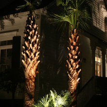 SC Front Yard
