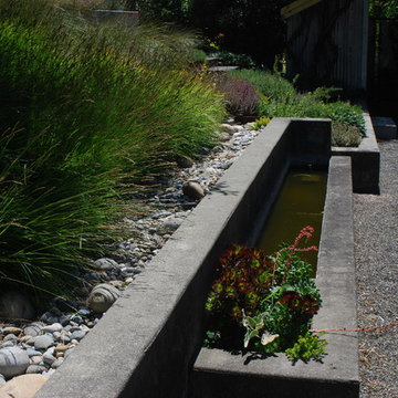 modern meadow
