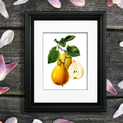 Pear Fruit Art prints Kitchen Wall decor ideas - Products