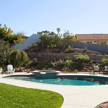 Backyard Dreams