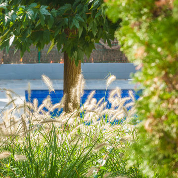 Vista de la piscina desde el jardín superior