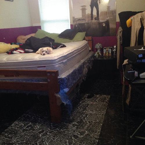 I Want To Redo My Whole Room Ok I M 15 And Want To Get Rid Of Everything Any Ideas What Furniture Use Color Paint My Room