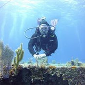 Karen Nemschick's photo