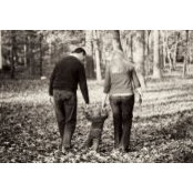 James Alcorn's photo