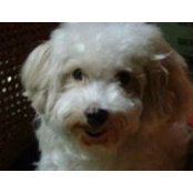 Julianne Uy's photo