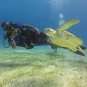 Geoff Berry's photo