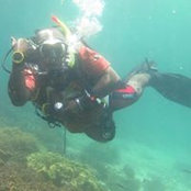 Jafar Werfete's photo