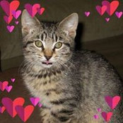 Heidi Crowell's photo