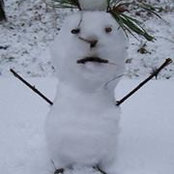 Gerard van der Werff's photo
