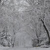 Dawn Dougherty's photo
