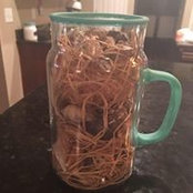 Mary Elslager's photo