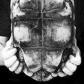Jason Coley's photo